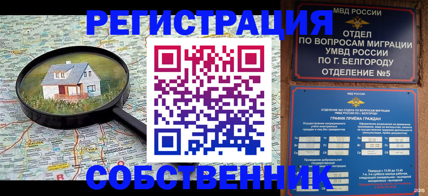регистрация для школы в Великом Новгороде